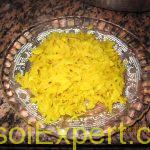IMG_2686[1]